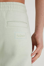 Charger l&#39;image dans la galerie, DML Banks Premium Brushback Fleece Shorts in ARTICHOKE Mint Green - Raw Menswear
