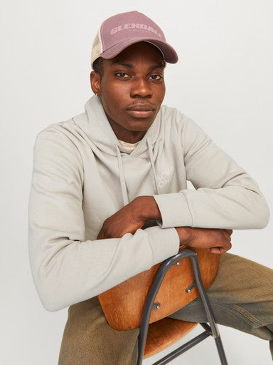 Jack & Jones Corp Logo Sweat Hoodie in Stone