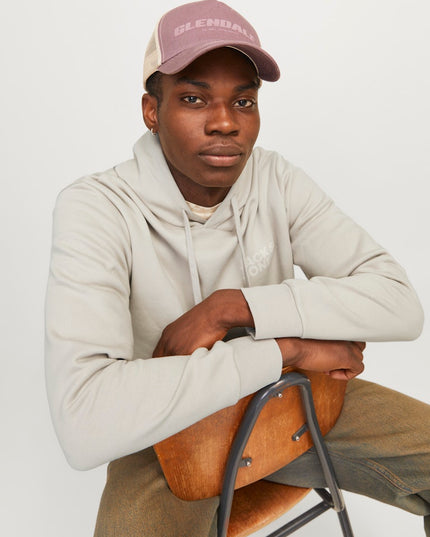 Jack & Jones Corp Logo Hoodie Moonbeam