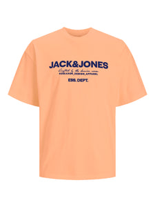 Jack & Jones Gale Tee Apricot Ice - Raw Menswear