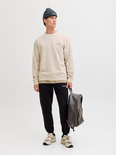 Jack & Jones Archive Graphic Sweater in Moonbeam