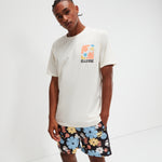 Load image into Gallery viewer, Ellesse Impronta Back Print Tee Washed Off White - Raw Menswear
